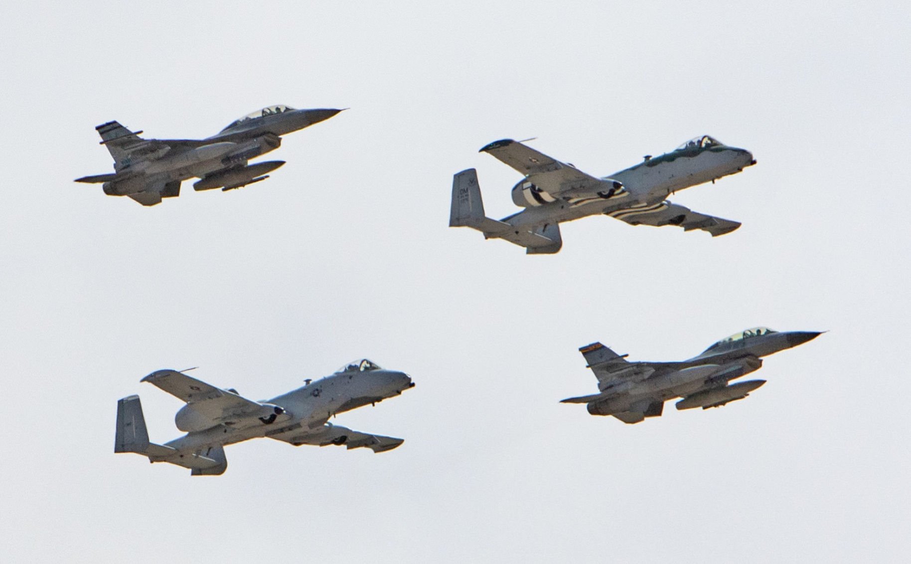 Tucson gets by during coronavirus pandemic